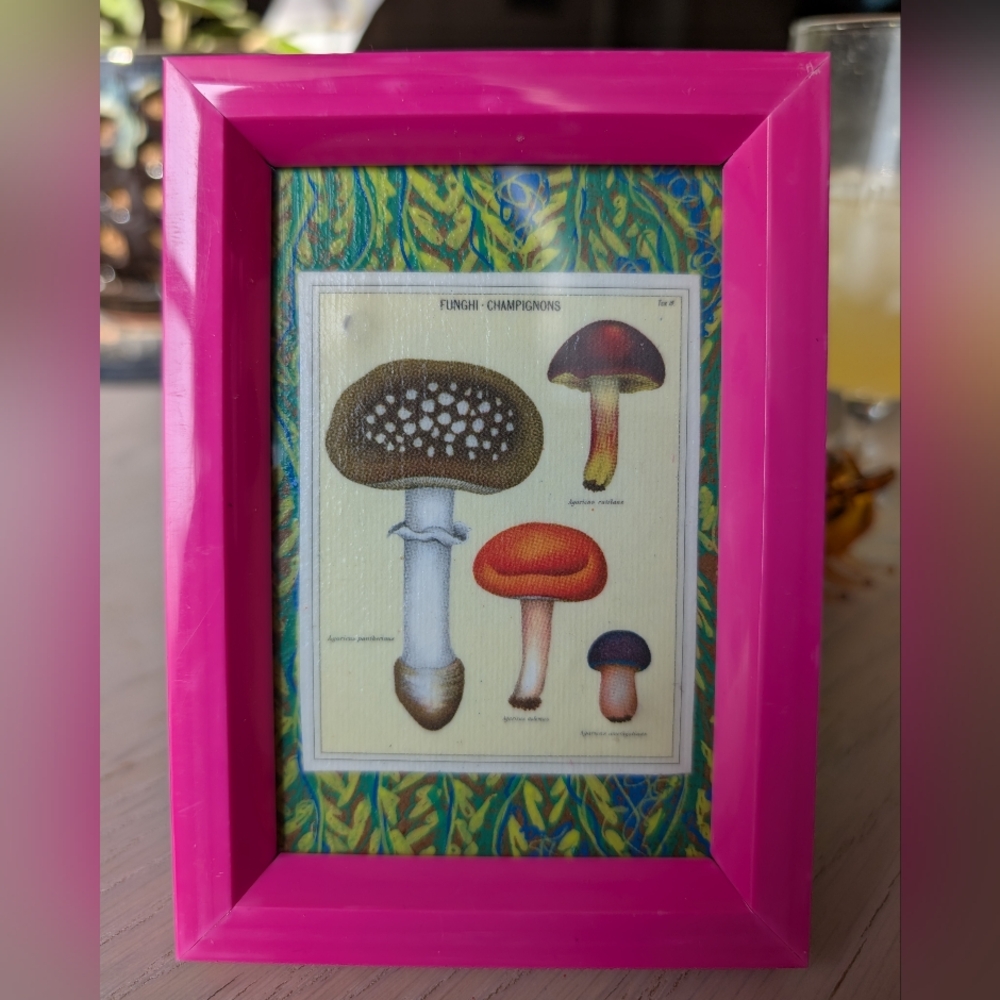 Mushroom Collage, Hot Pink Frame
